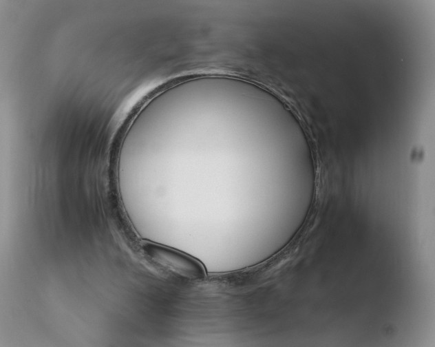 X0000110770200200906151002