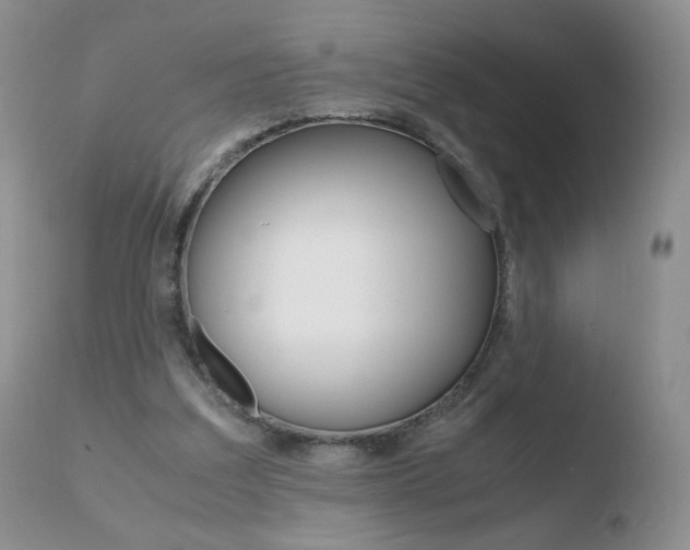 X0000110770203200906151002