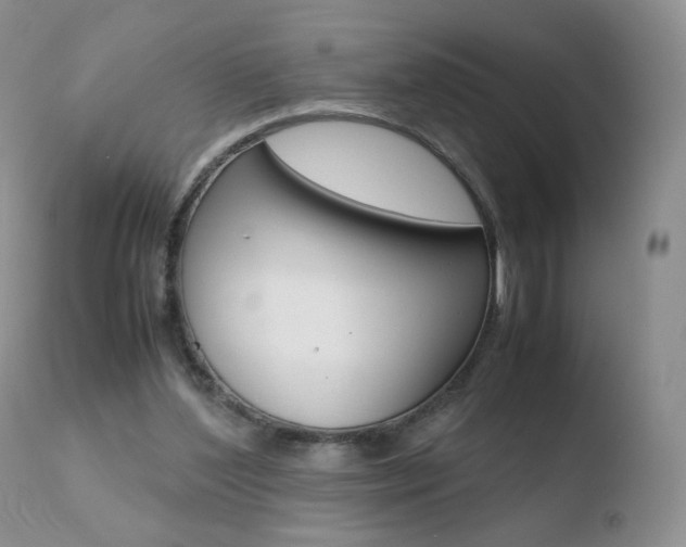 X0000110770204200906151002