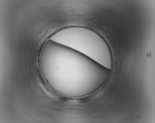 X0000110770205200906151002