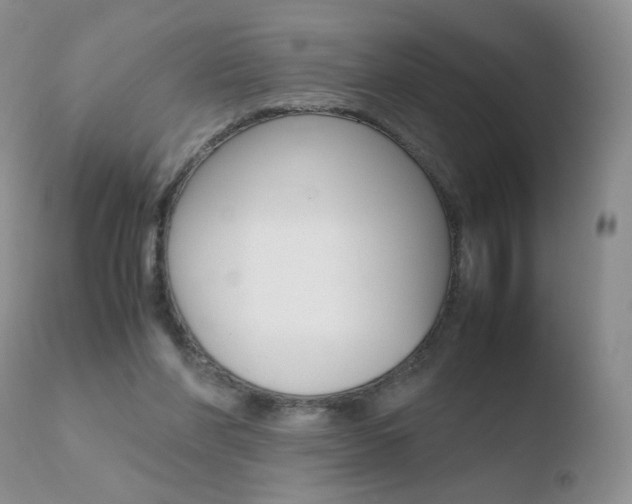 X0000110770206200906151002