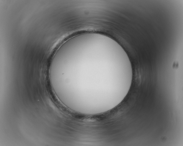 X0000110770208200906151002