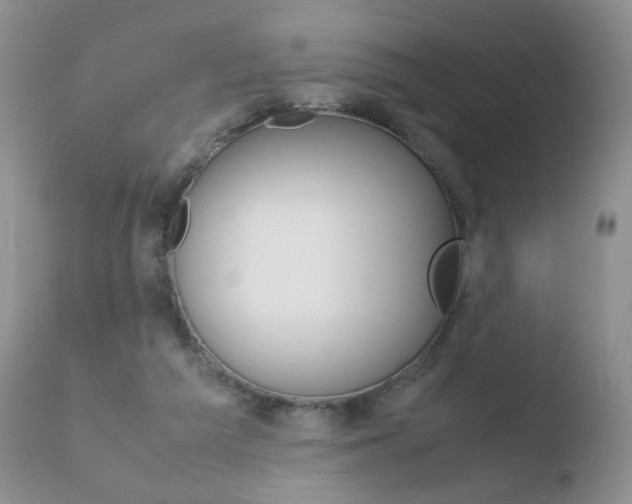X0000110770209200906151002