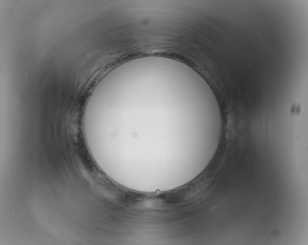 X0000110770210200906151002