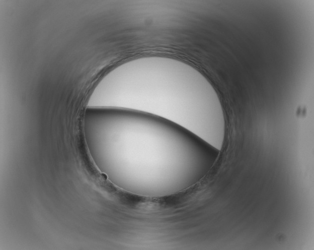 X0000110770211200906151002