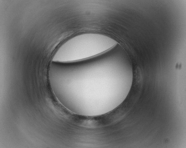 X0000110770212200906151002