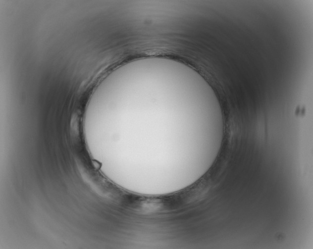 X0000110770214200906151002
