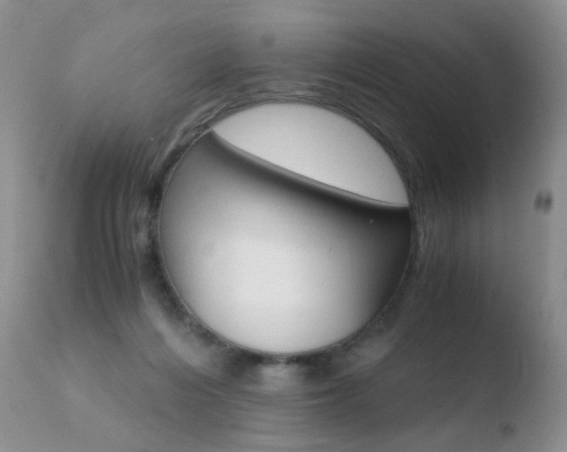 X0000110770216200906151002