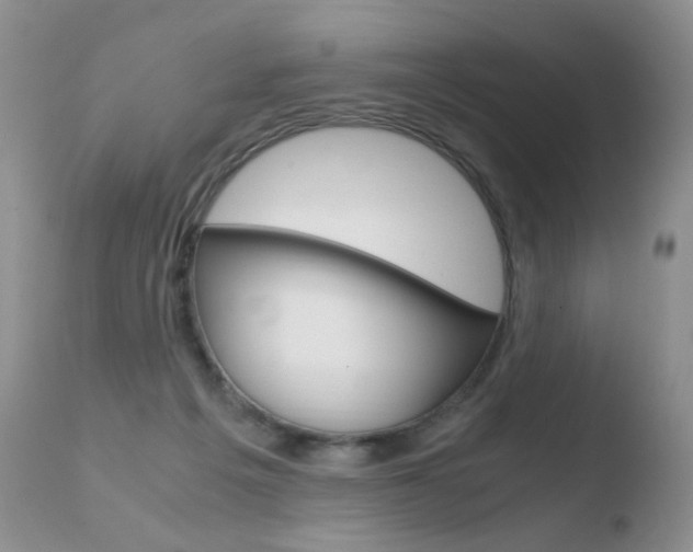 X0000110770217200906151002