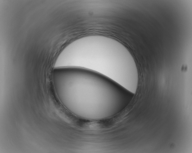 X0000110770219200906151002