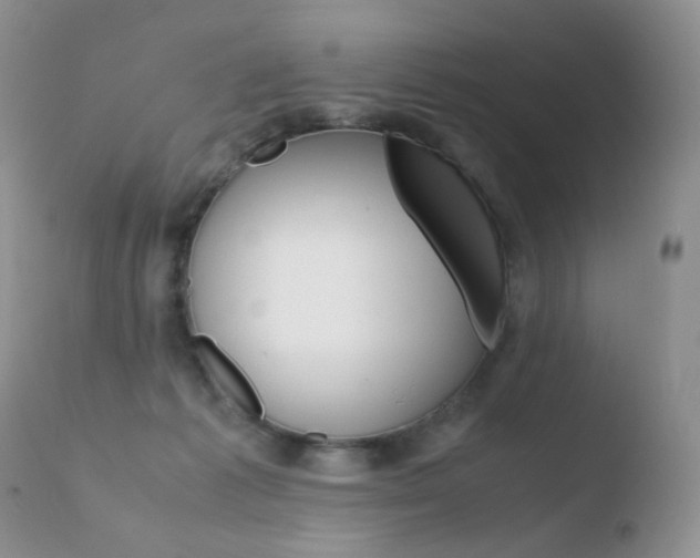 X0000110770221200906151002