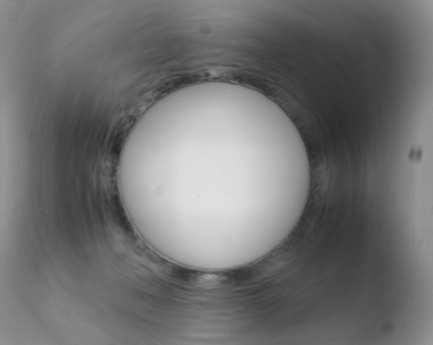 X0000110770222200906151002