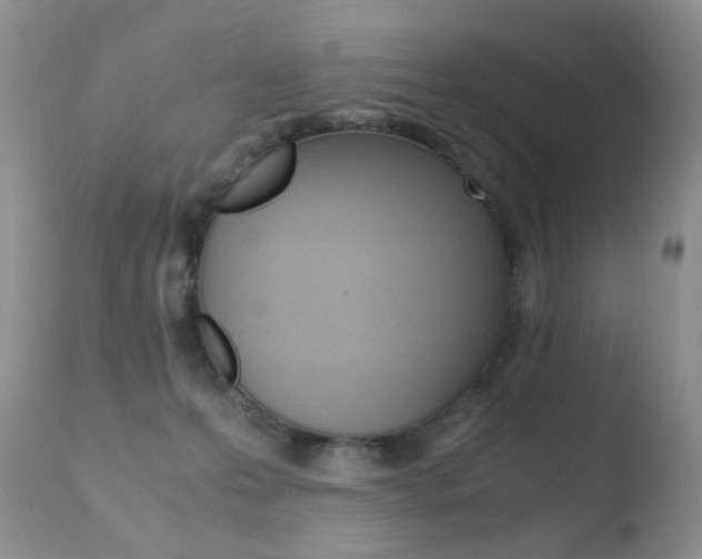 X0000110770223200906151002