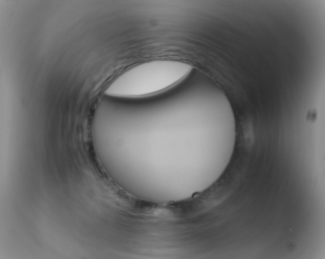 X0000110770224200906151002