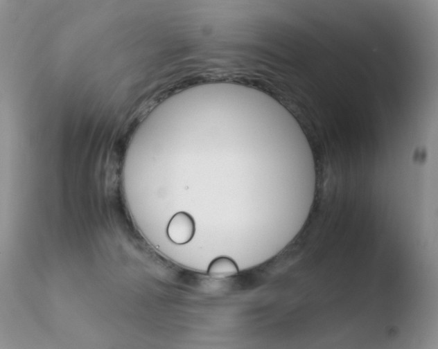 X0000110770226200906151001