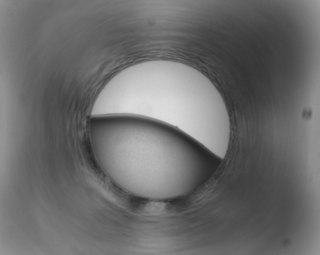 X0000110770227200906151001