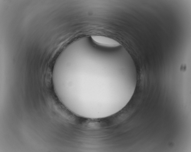 X0000110770228200906151001