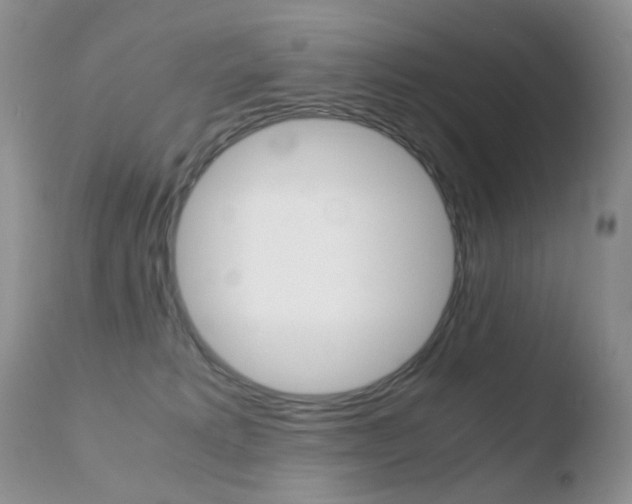 X0000110770229200906151001