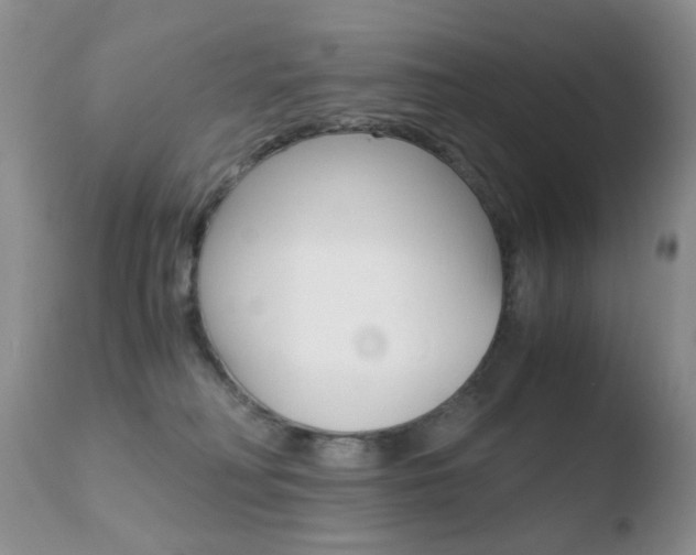 X0000110770230200906151001