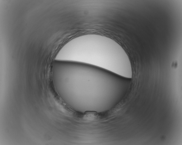 X0000110770231200906151001