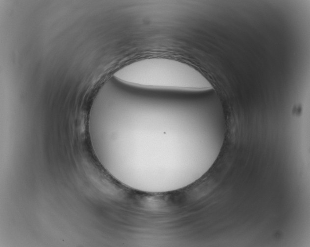 X0000110770232200906151001