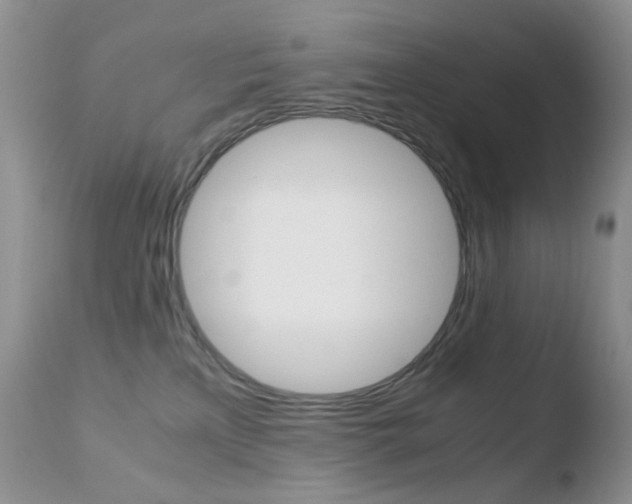 X0000110770233200906151001