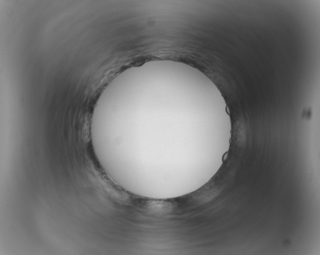 X0000110770234200906151001