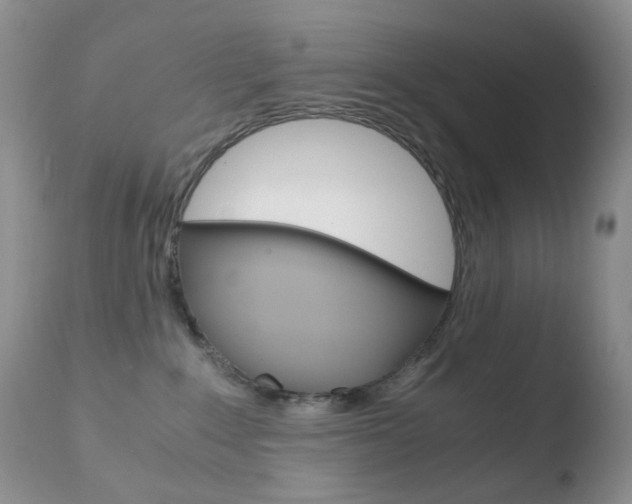 X0000110770235200906151001