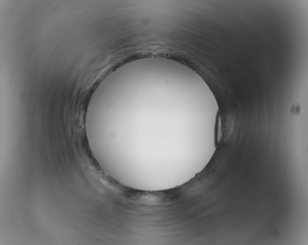 X0000110770236200906151001
