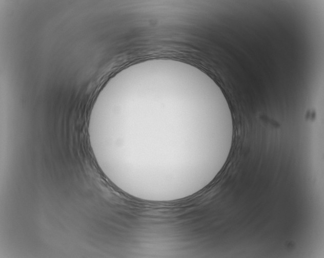 X0000110770237200906151001