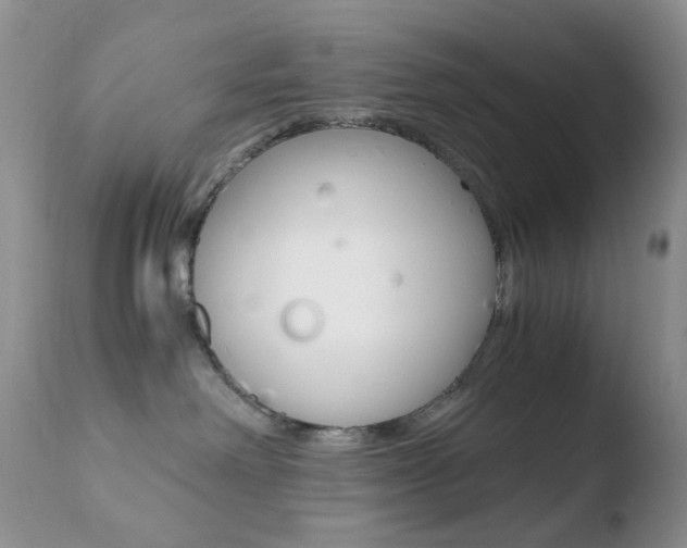 X0000110770238200906151001