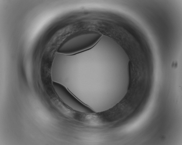 X0000110770239200906151001