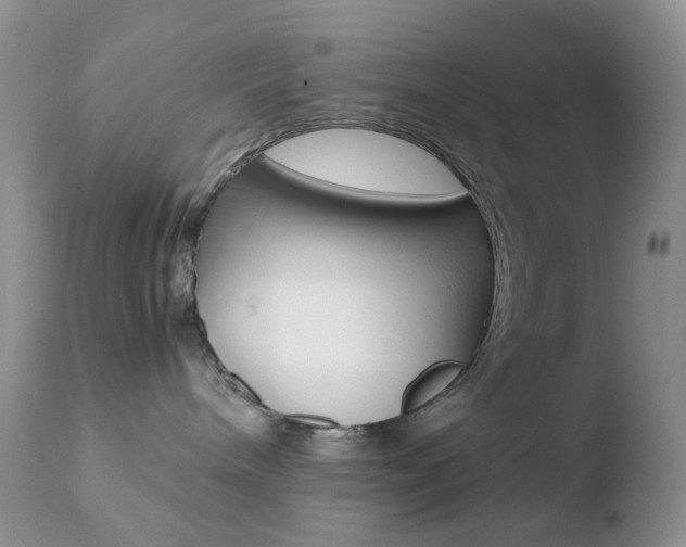 X0000110770240200906151001