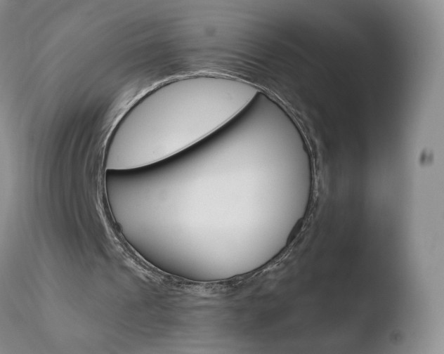 X0000110770241200906151000