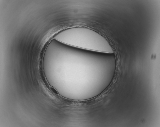 X0000110770242200906151000