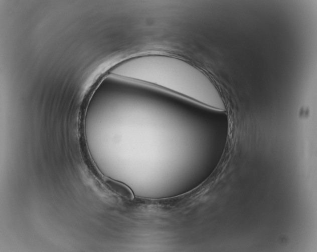 X0000110770244200906151000