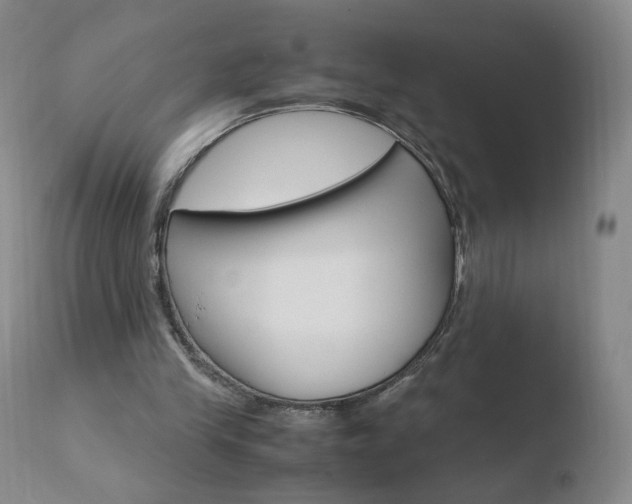 X0000110770245200906151001