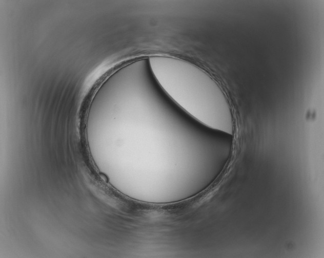 X0000110770246200906151001