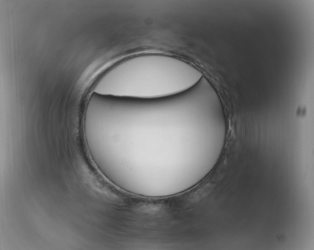 X0000110770247200906151001