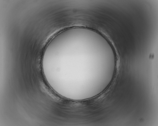 X0000110770249200906151001
