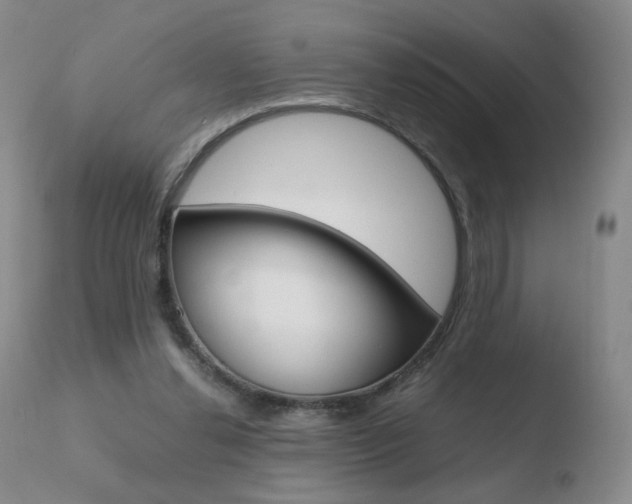X0000110770252200906151001
