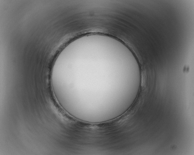 X0000110770253200906151001