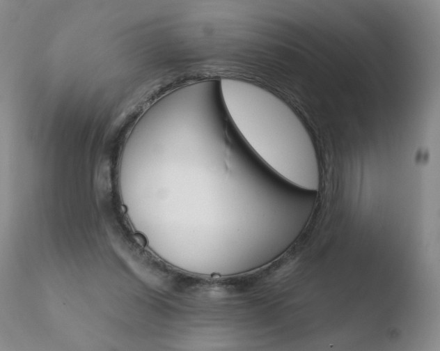 X0000110770254200906151001