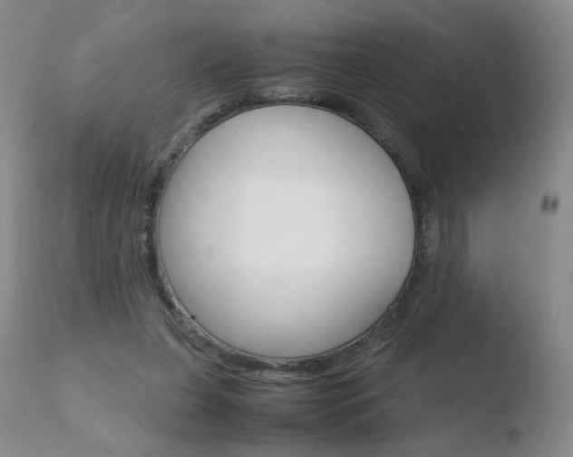 X0000110770255200906151001