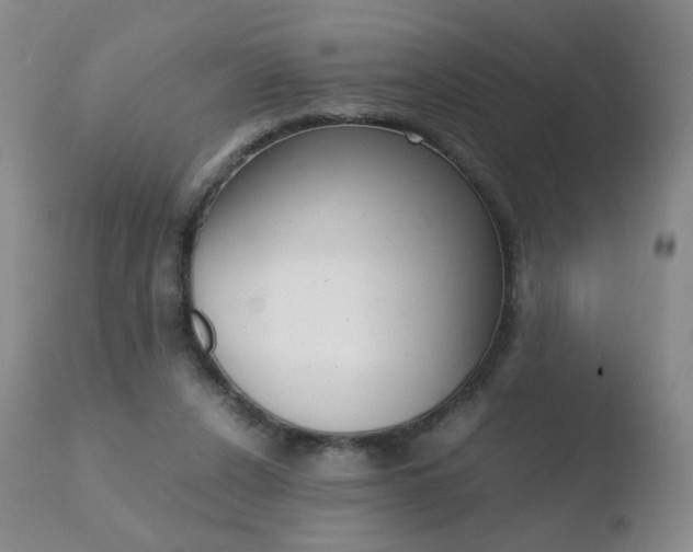 X0000110770256200906151001