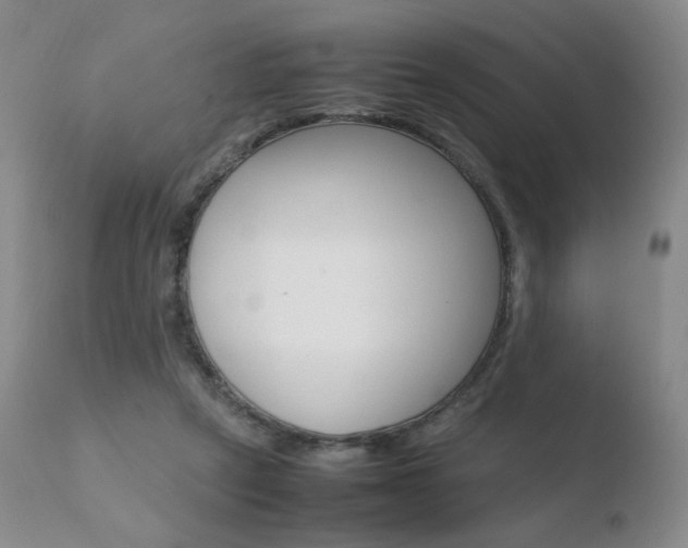 X0000110770257200906151001
