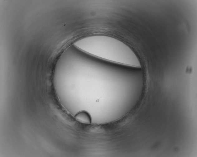 X0000110770258200906151001