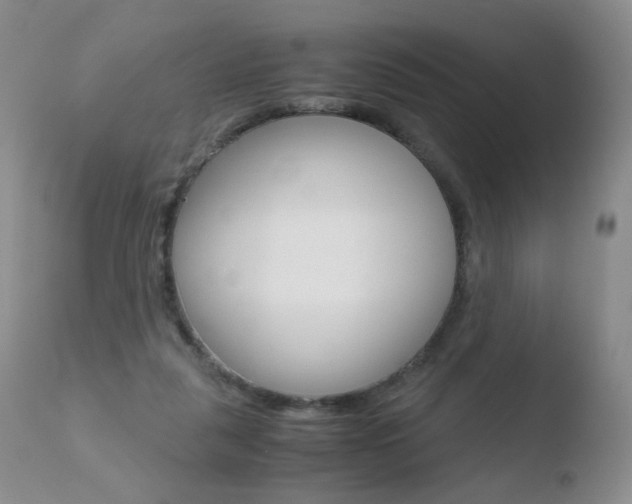 X0000110770259200906151001