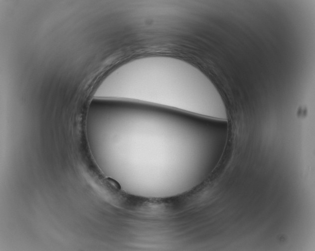 X0000110770260200906151001