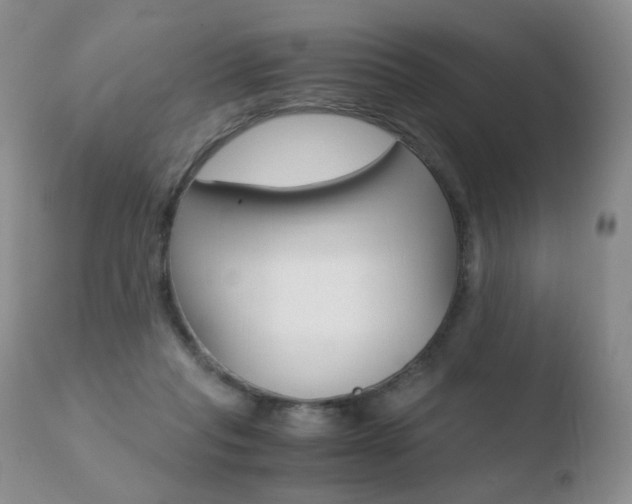 X0000110770261200906151001